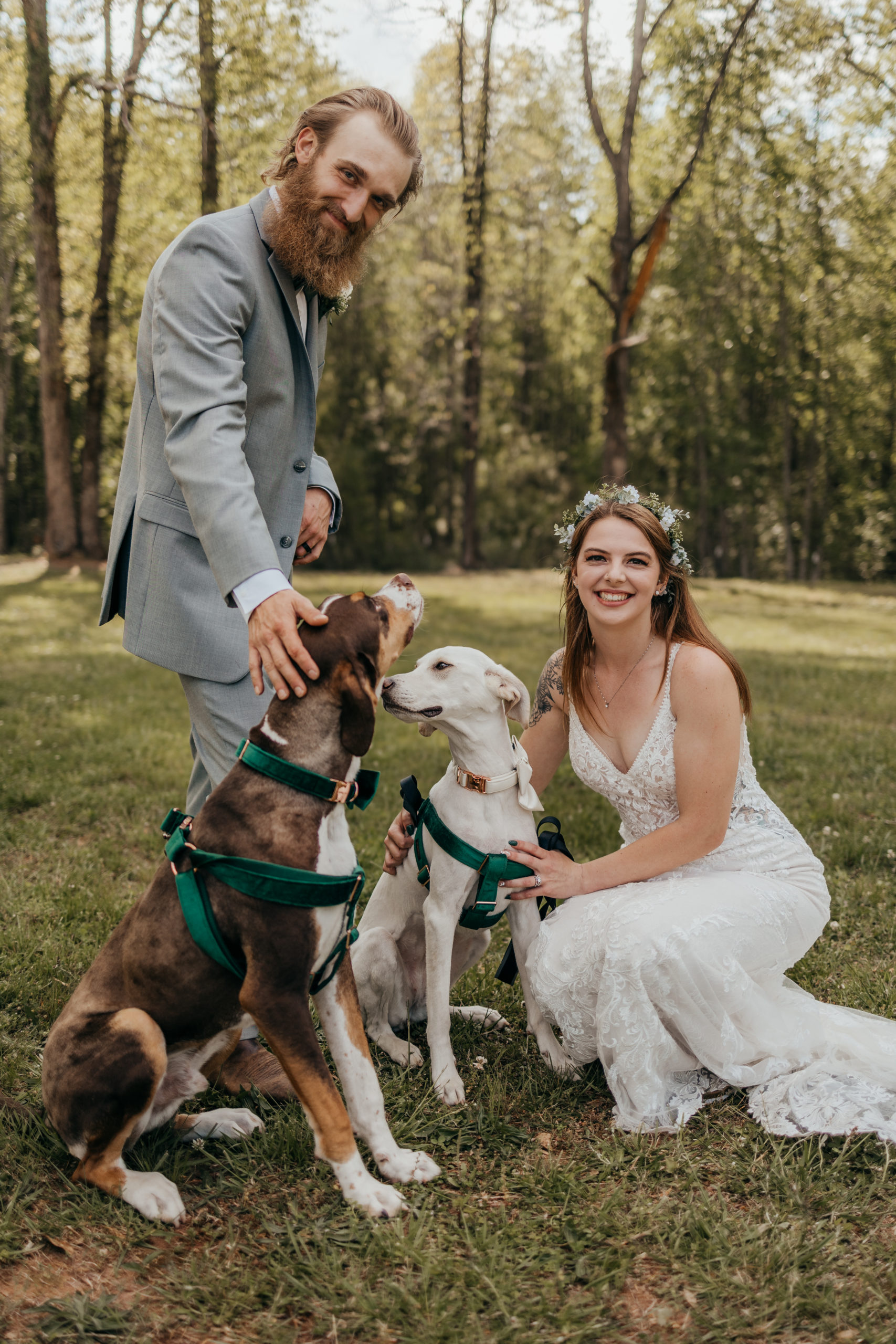 outdoor spring wedding, dogs in ceremony