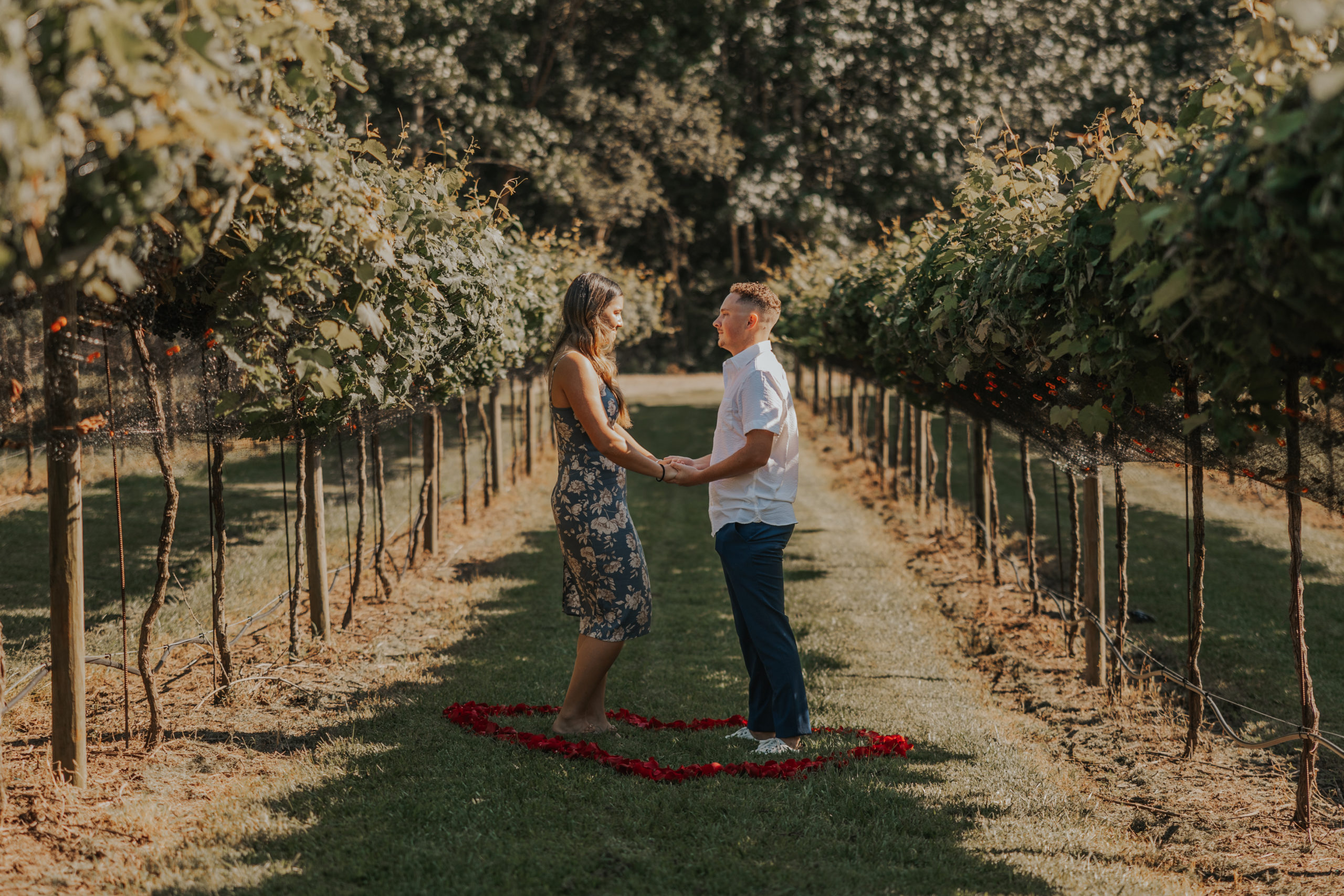 surprise proposal, vineyard proposal