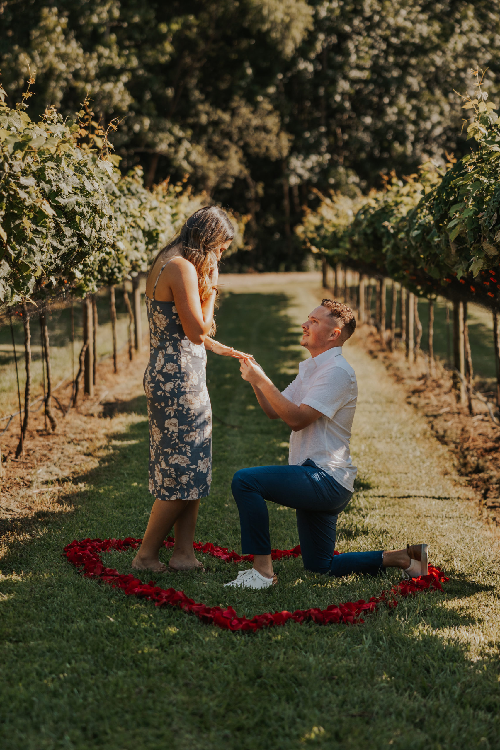 surprise proposal, vineyard proposal