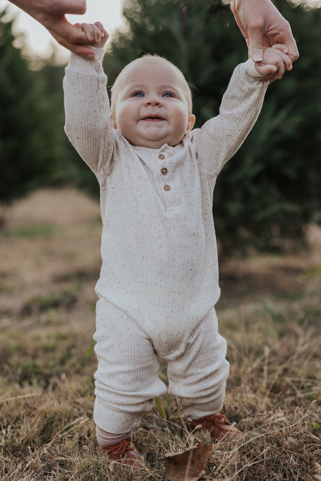 Beautiful baby gets held up during their families Christmas tree farm family photos