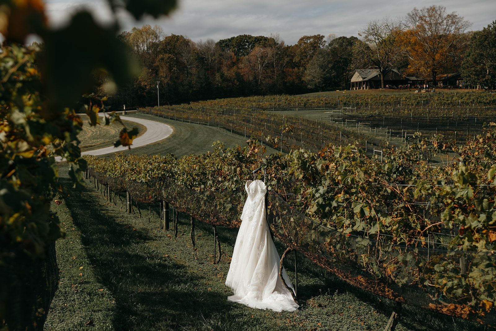 Beautiful Cenita vineyard wedding day shot by Rachel Boyd Photography