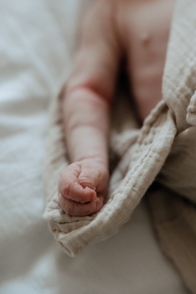 close up of newborn baby's hand