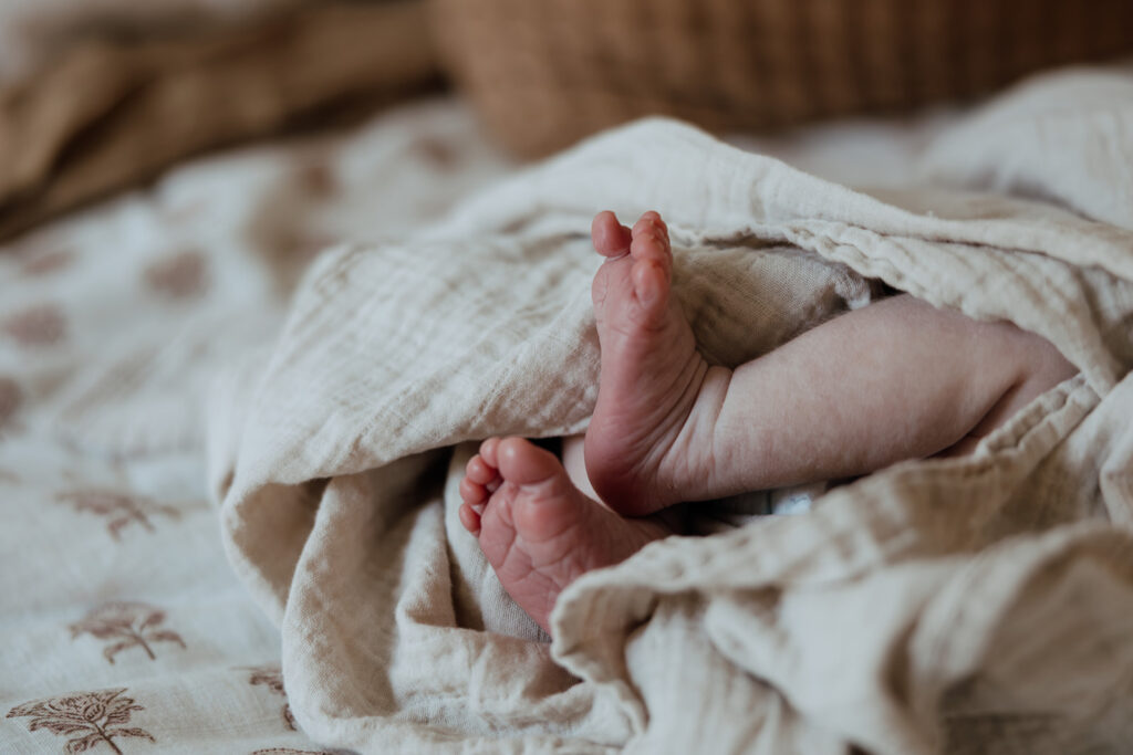 close up of newborn baby's feet