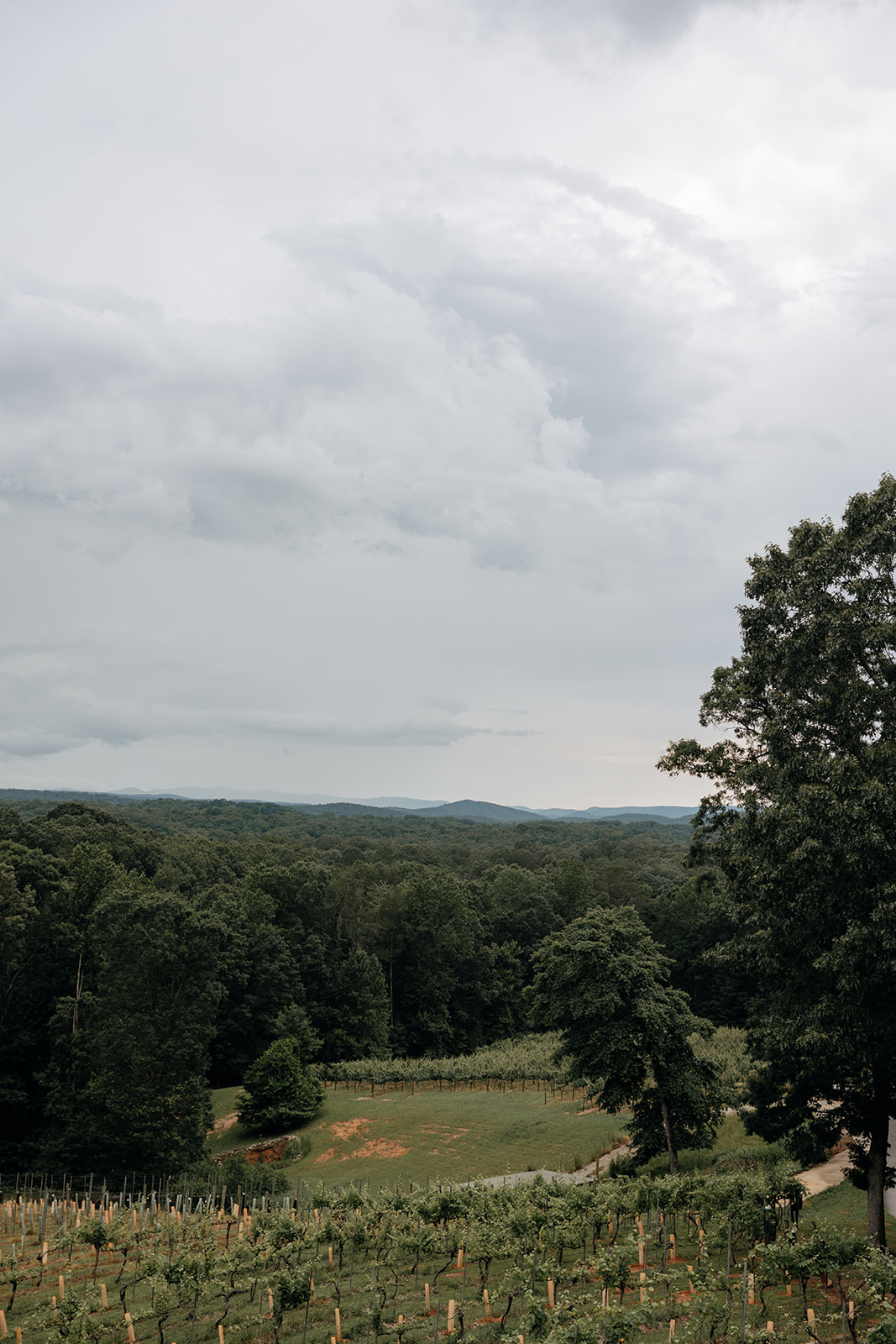 stunning view from a romantic engagement photoshoot