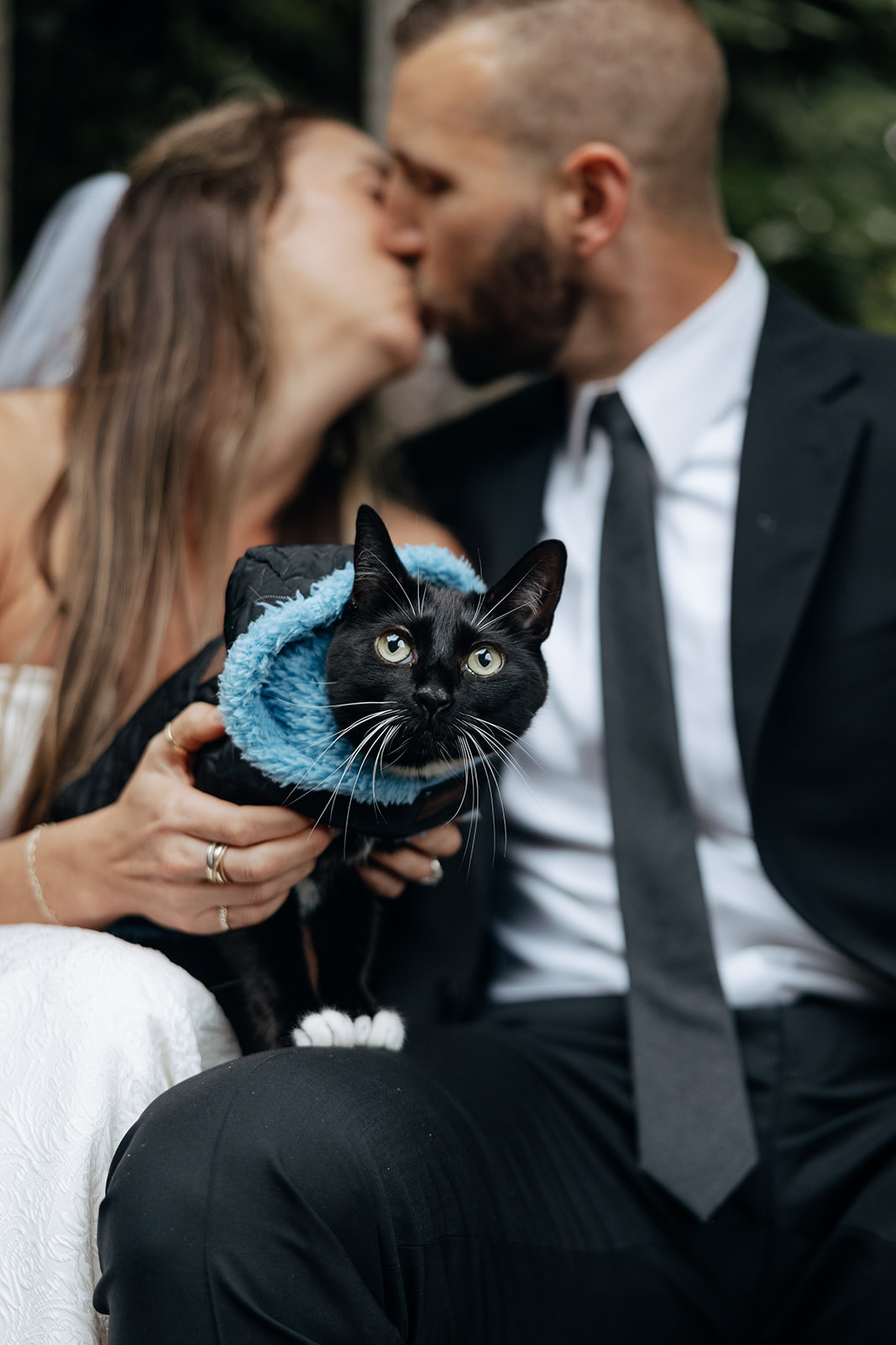 Beautiful couple pose with their cat during their stunning Ireland vow renewal